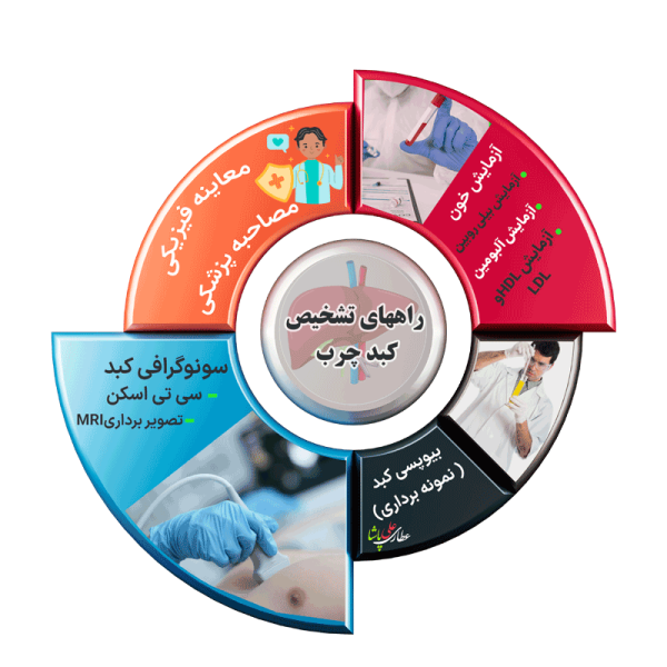 تشخیص کبد چرب از طریق آزمایش خون و سونوگرافی صورت می گیرد